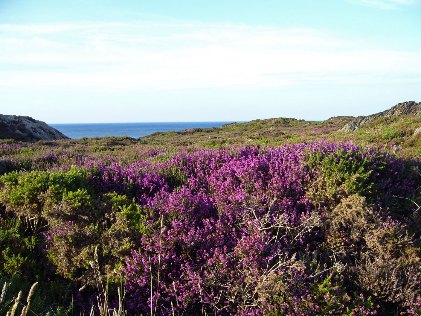 Llaneilian (Amlwch)
